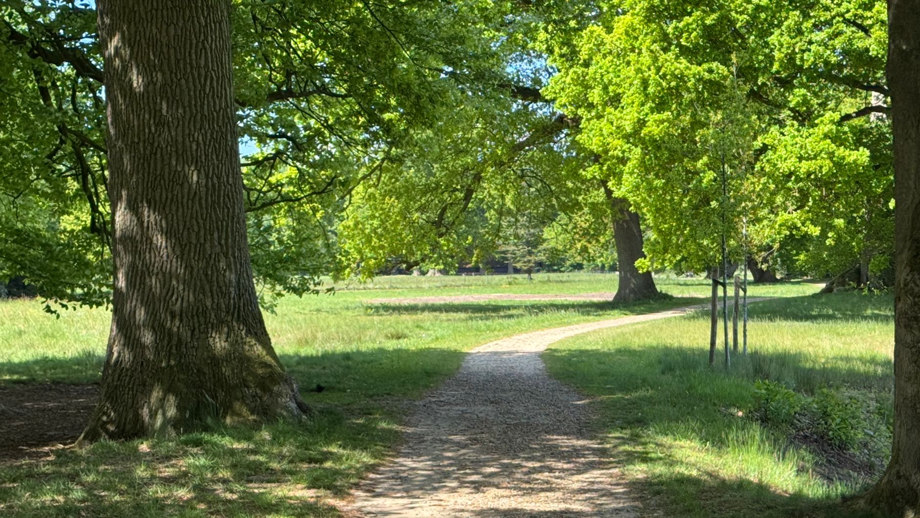 Lutte contre les nuisibles à Cholet